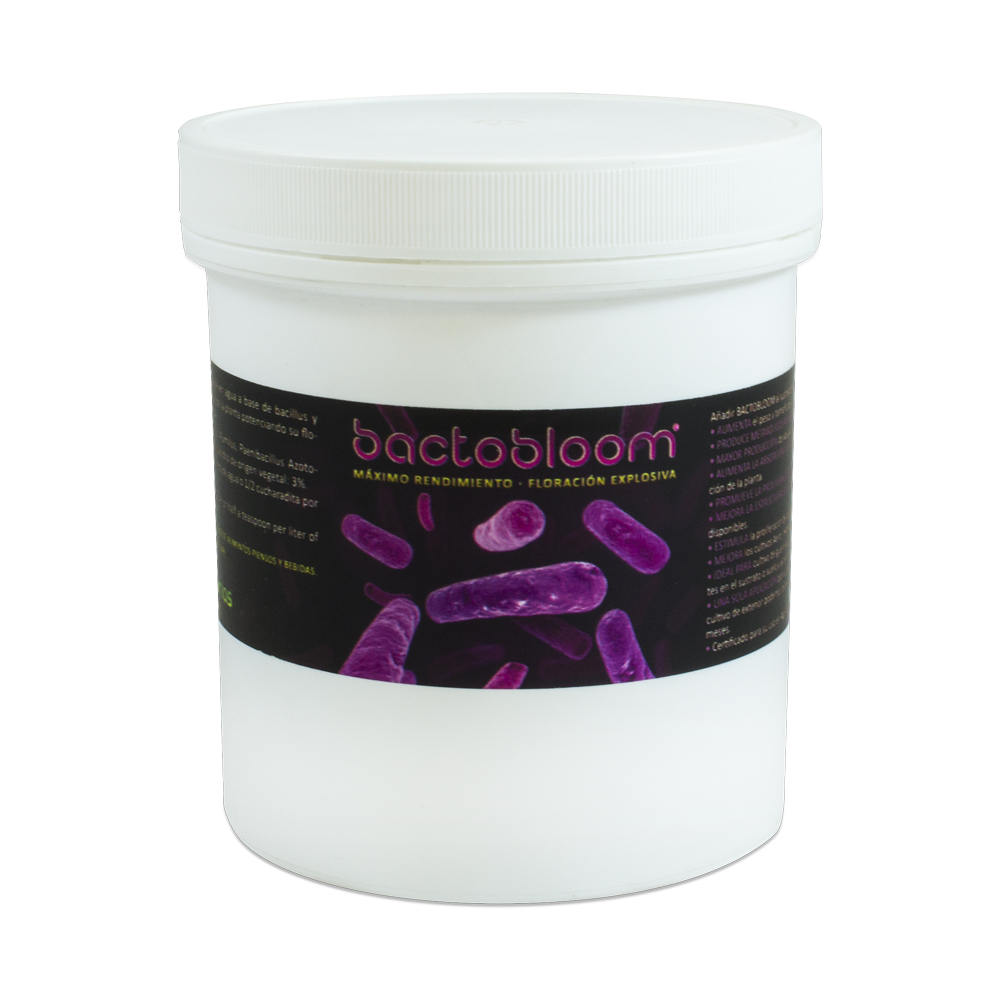Additif en Poudre de Bacillus et Bactéries Agrobacterias BactoHemp (50g